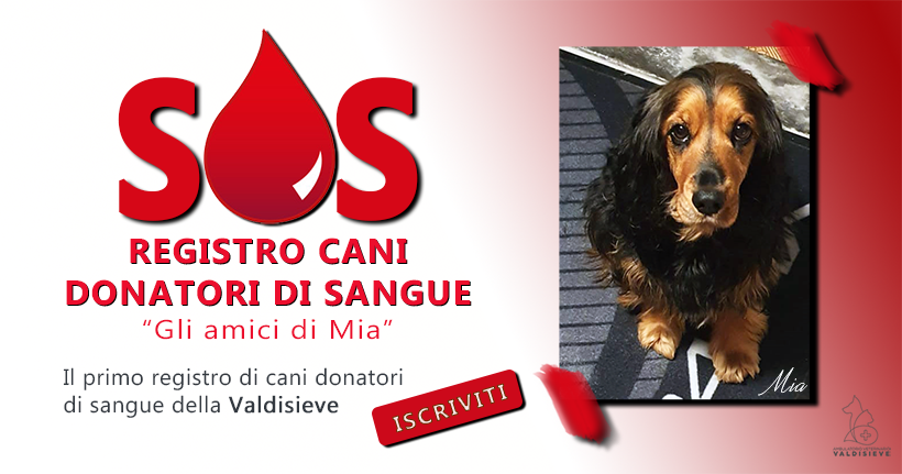 registro cani donatori sangue