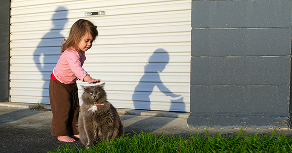 bimba e ombre con gatto