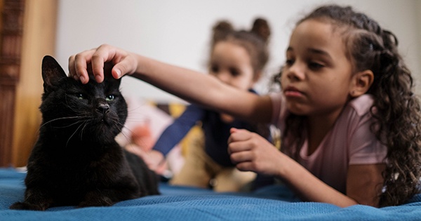 bimba e gatto nero