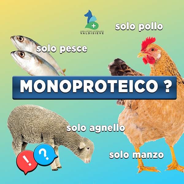 alimenti monoproteici