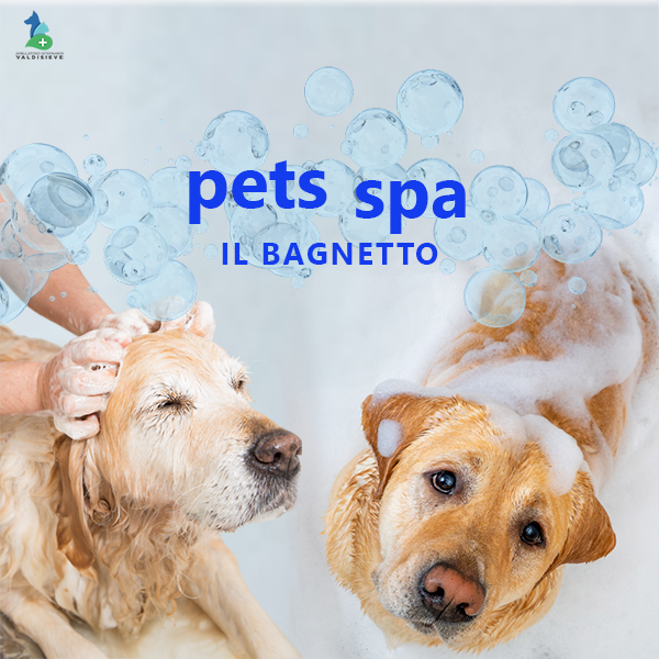 bagno al cane