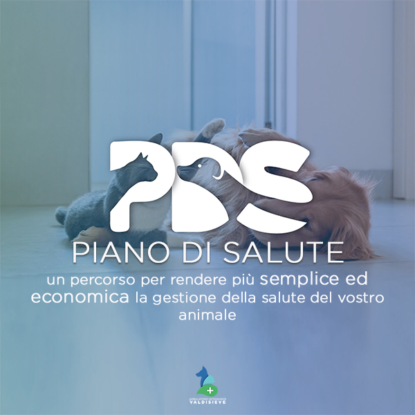 Nasce il Piano di Salute (PDS)