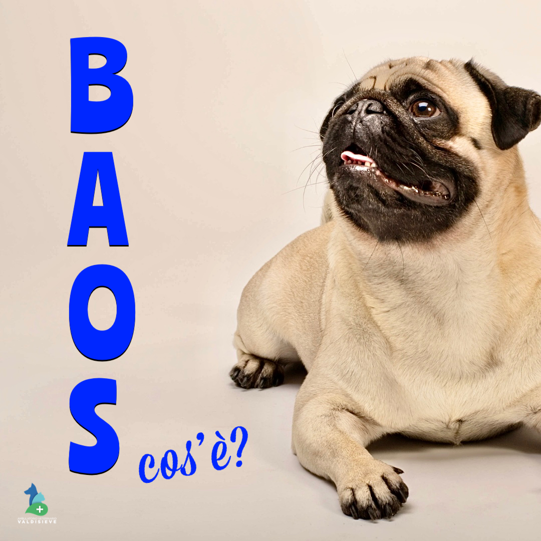 BAOS