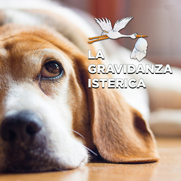 La gravidanza isterica