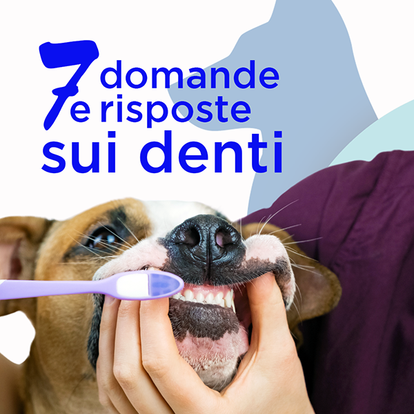 7 domande e 7 risposte sui denti